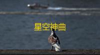 星空神曲